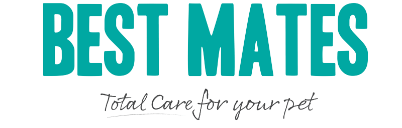 Best Mates Prevention Plan | Wellness Plan