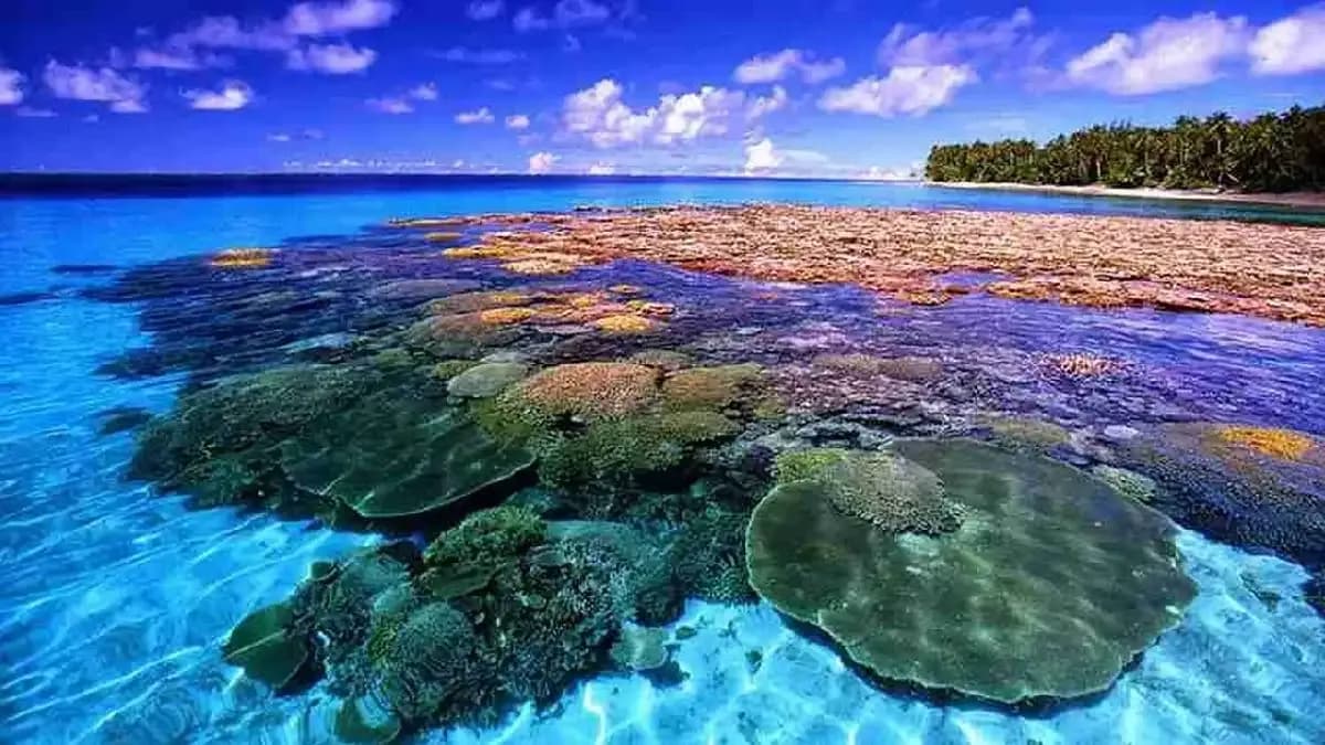 The Future of Luxury Travel in Indonesia: What’s Next in 2025 and Beyond?