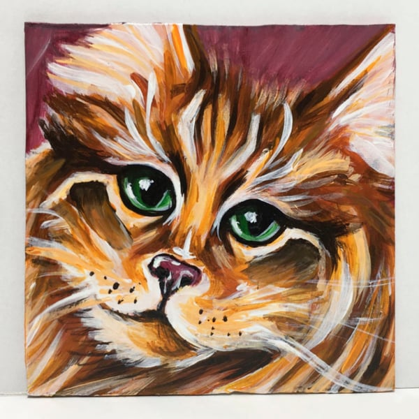 Kızıl Kedi Orijinal Küçük Akrilik Tablo