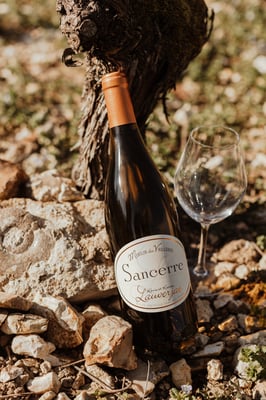 SANCERRE BLANC Moulin des Vrilleres