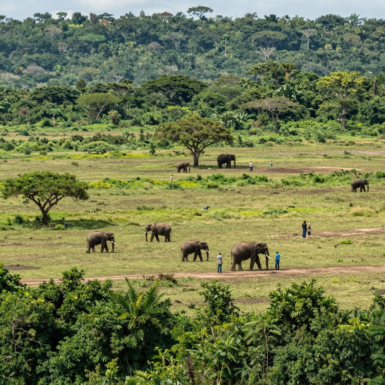 Preservare gli Habitat degli Elefanti: Iniziative Globali per Salvare Specie in Pericolo