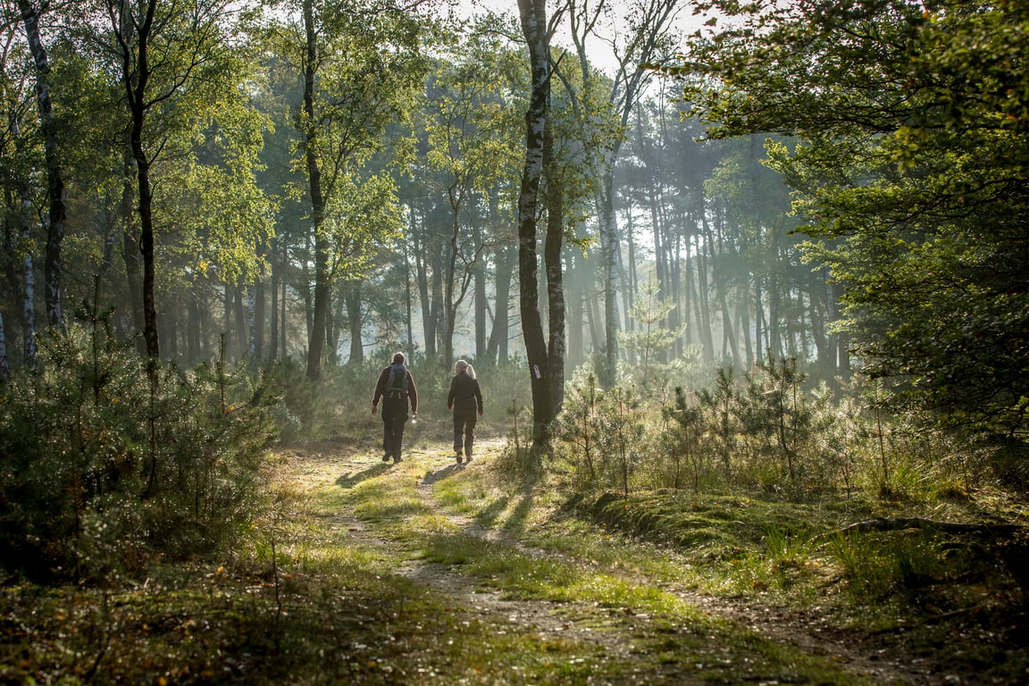 Wandelpad in Nationaal Park De Hoge Veluwe