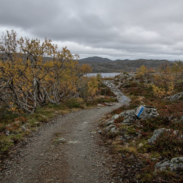 Grusvei fra parkeringsområdet ved Tempelseter mot fjellstien til Tempelnatten