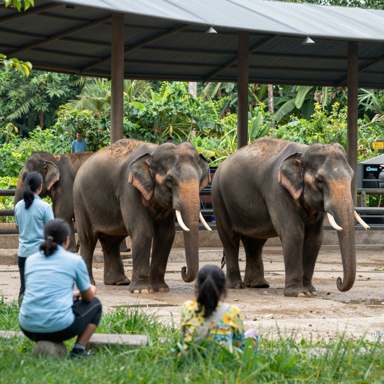 Santuario degli Elefanti: Storie di Rescues e Battaglie per la Conservazione