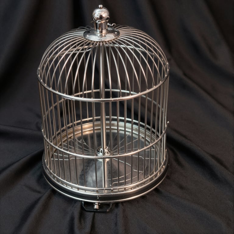 Top Cock Cage Reviews: Enhancing Male Chastity Experiences for Enthusiasts in 2026