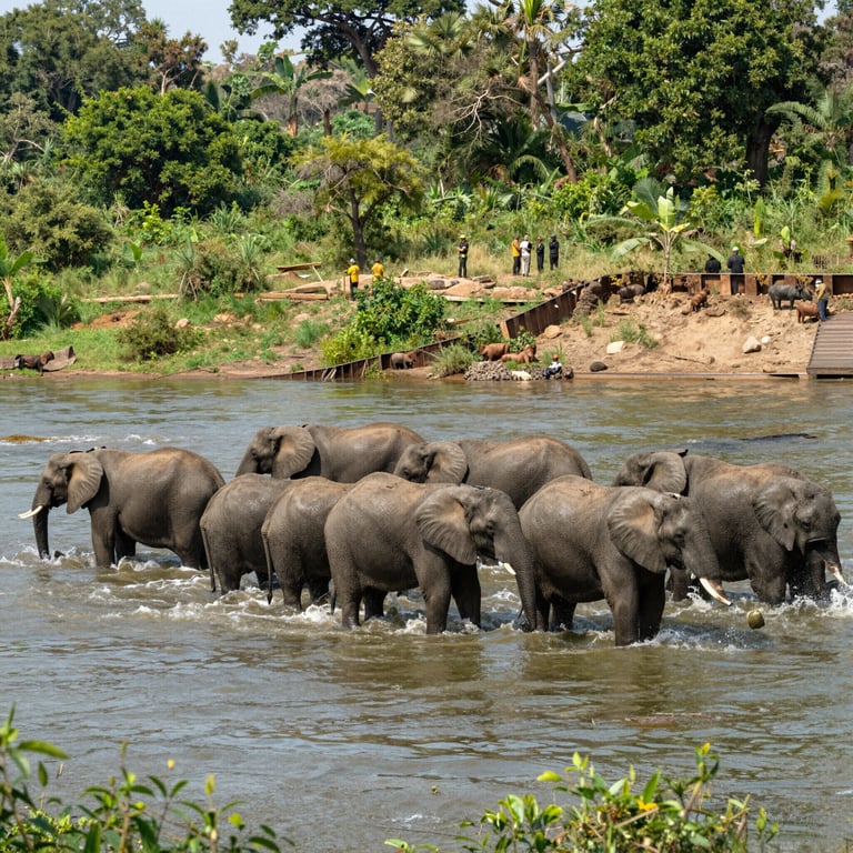 Proteggere gli Elefanti: Azioni Urgenti per i Loro Habitat Naturali
