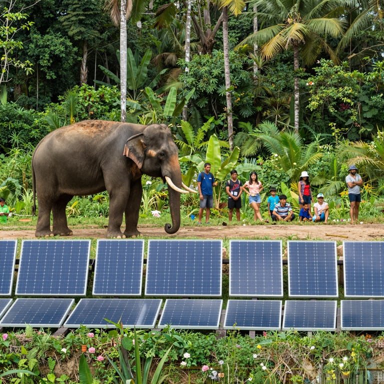 Soluzioni Innovative per la Coesistenza Pacifica tra Uomini ed Elefanti