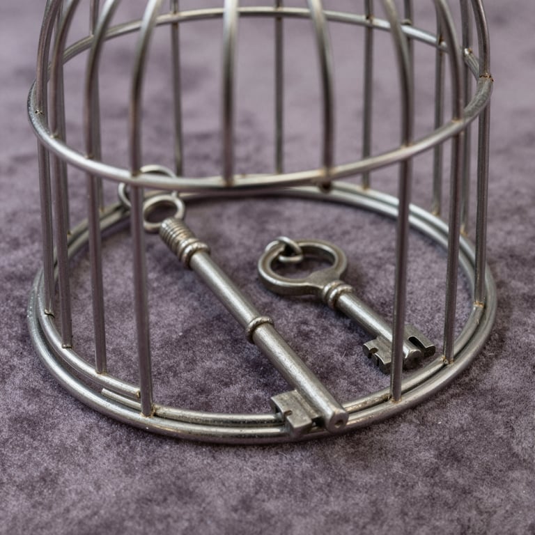 Expert Cock Cage Reviews: Enhancing BDSM Keyholding Experiences in 2026