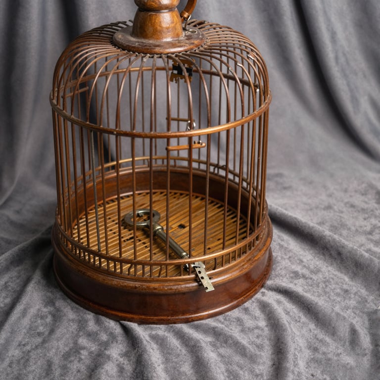 Expert Cock Cage Reviews: Secure Comfort for Ultimate BDSM Keyholding Adventures