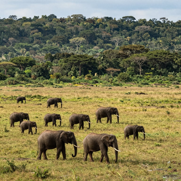 Iniziativa Globale per Proteggere Elefanti e Fauna Selvatica nel 2026