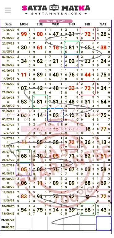 30 August 2025 shandar single jodi 05 aur panel 244 family By Prof SK Jain