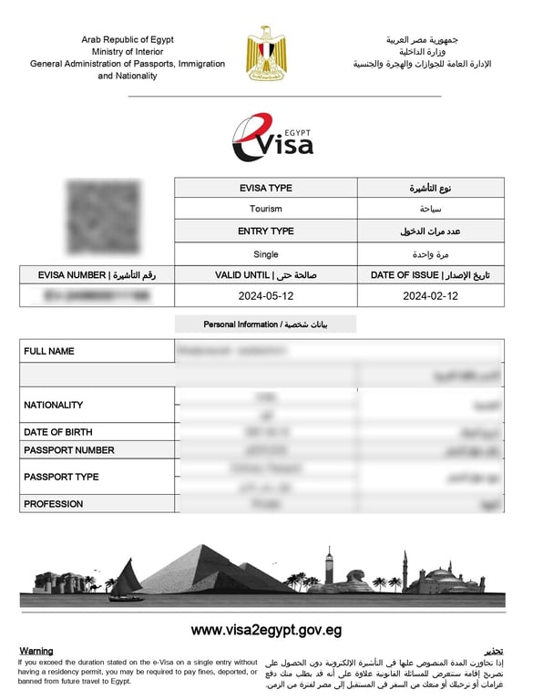 Egypt e-visa sample