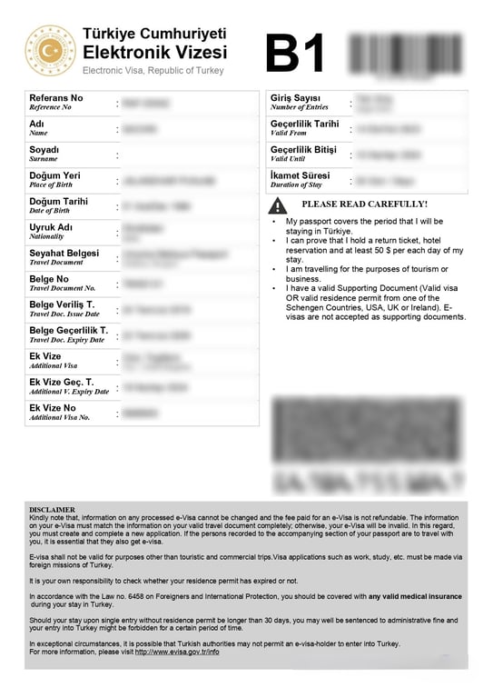 Turkey e-visa sample
