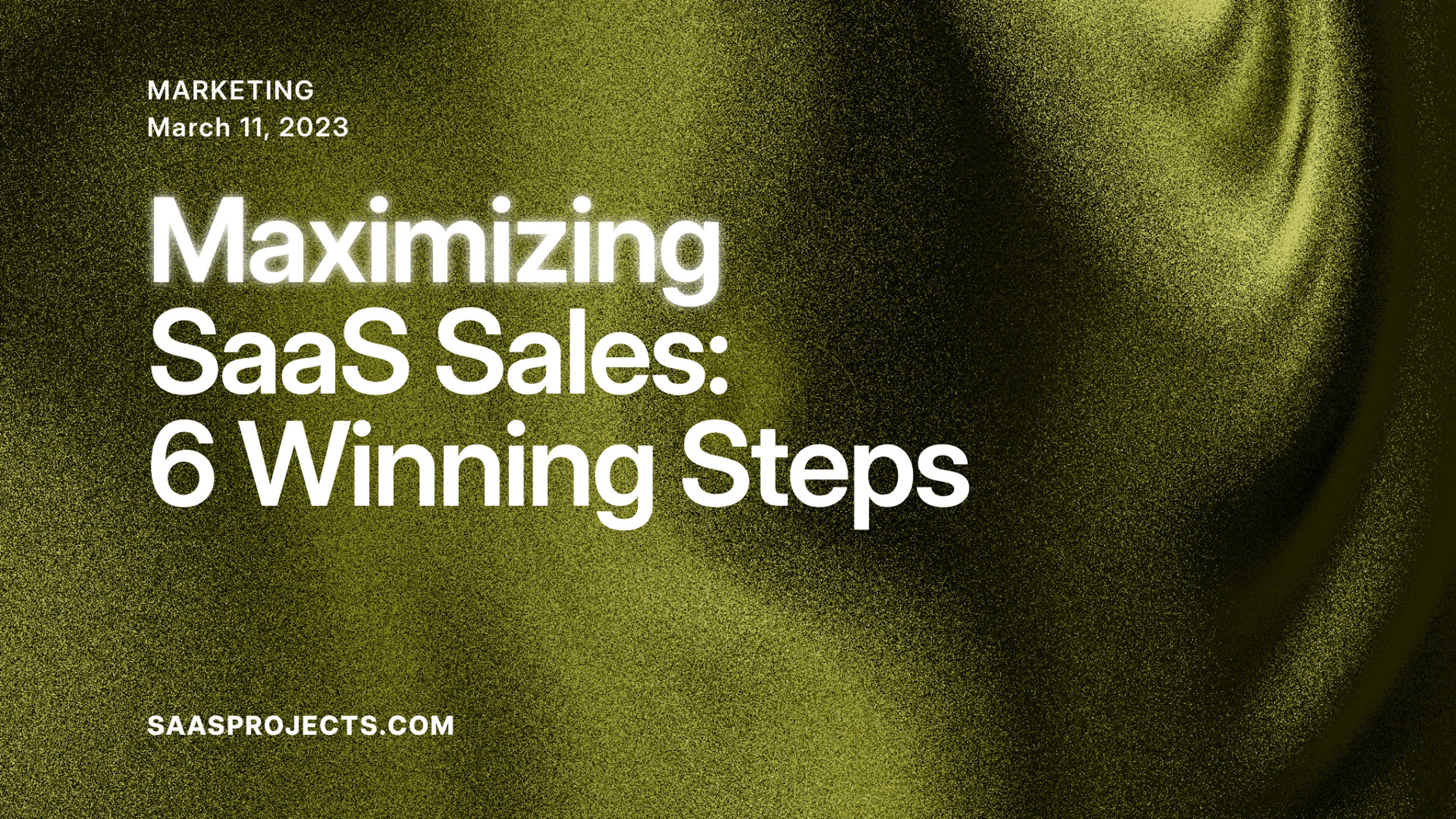 Maximizing SaaS Sales: 6 Winning Steps