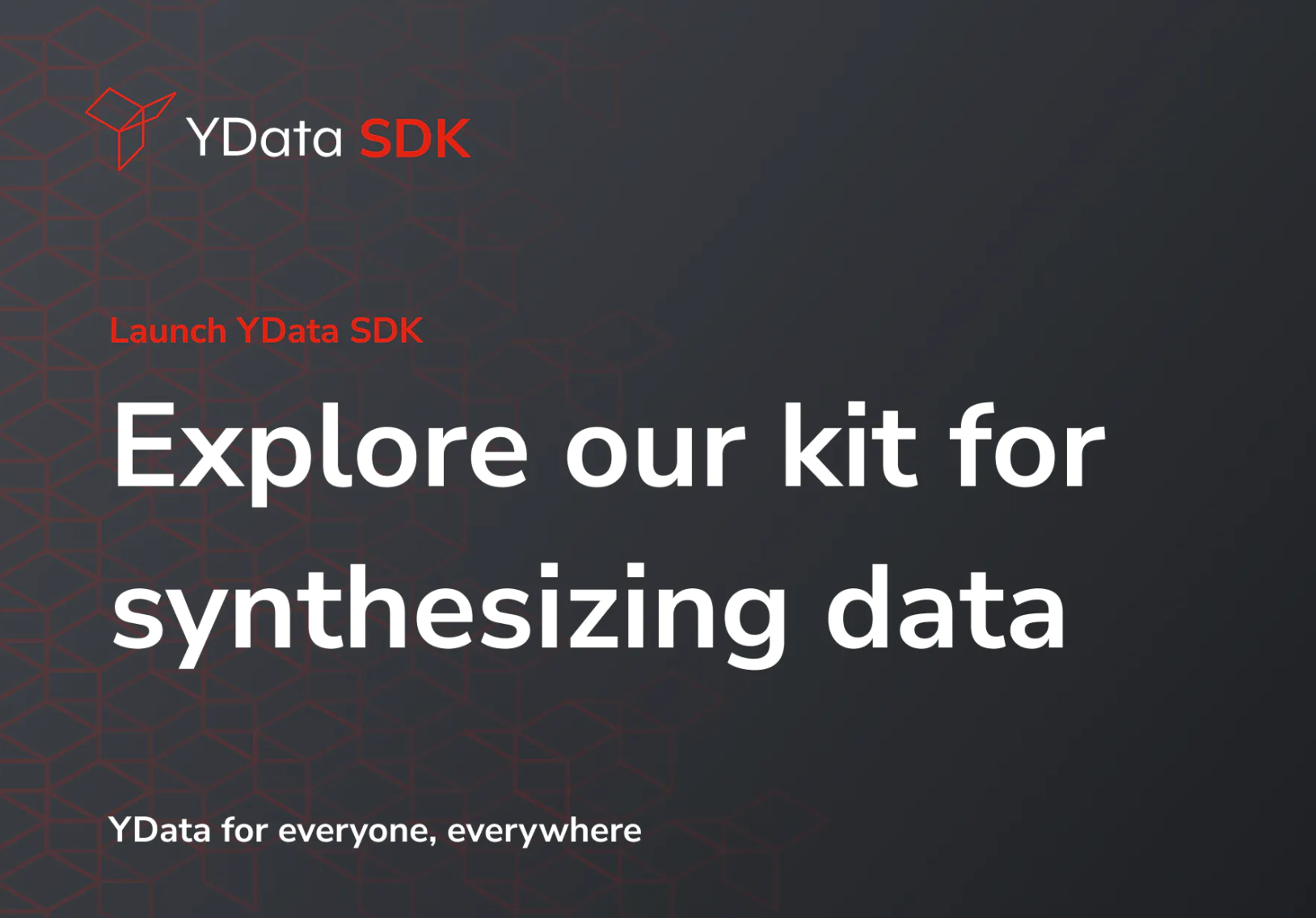 YData SDK