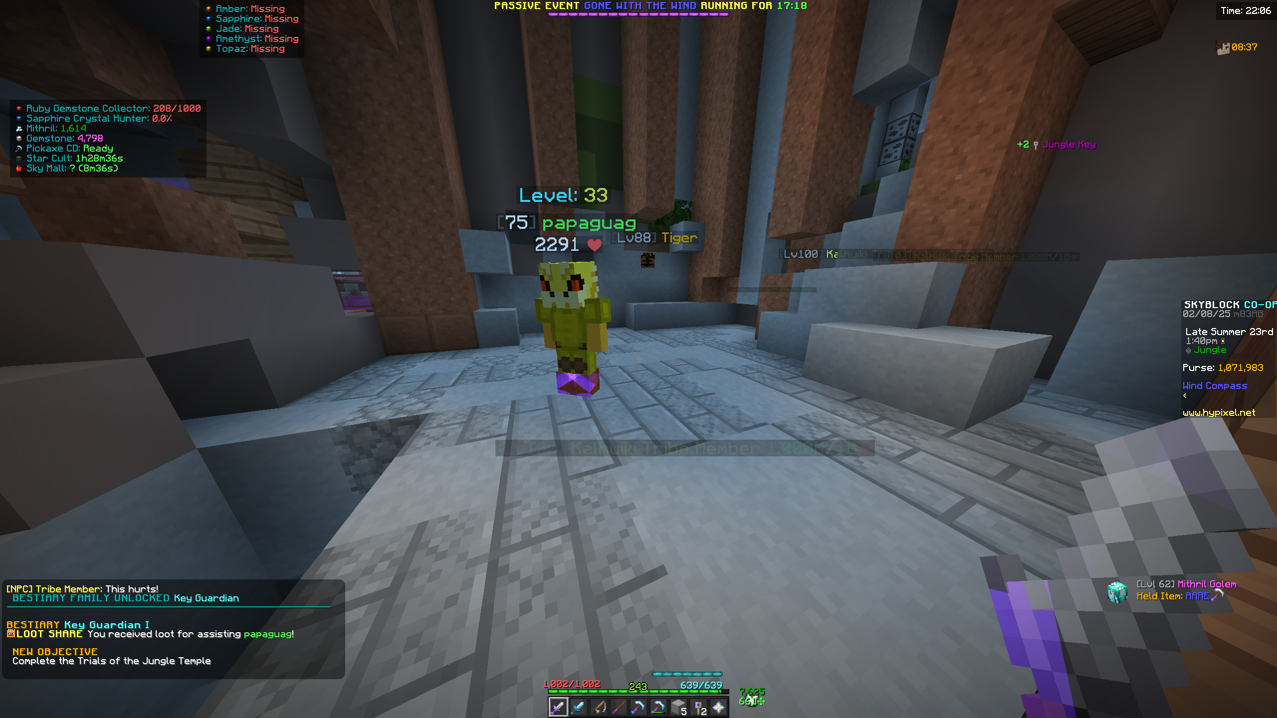 Captured Feb 08, 2025 @ 10:06 PM