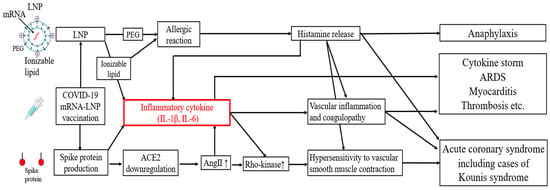 Japanische Untersuchung gibt Anlass zur Besorgnis über mRNA-Impfstoffe – Spike-Protein als Auslöser