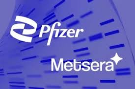 Battle for Metsera: Pfizer, Novo Nordisk and the Weight-Loss Cold War