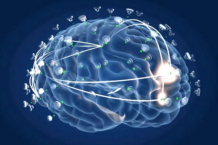 40 Hz Sound “Reversed Alzheimer’s”? PNAS Monkey Study Shows Biomarker ...