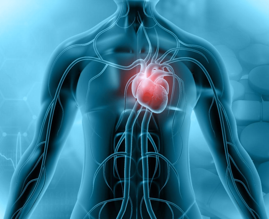 Long COVID and the Heart: Large Swedish Study Signals Elevated Risk—But ...
