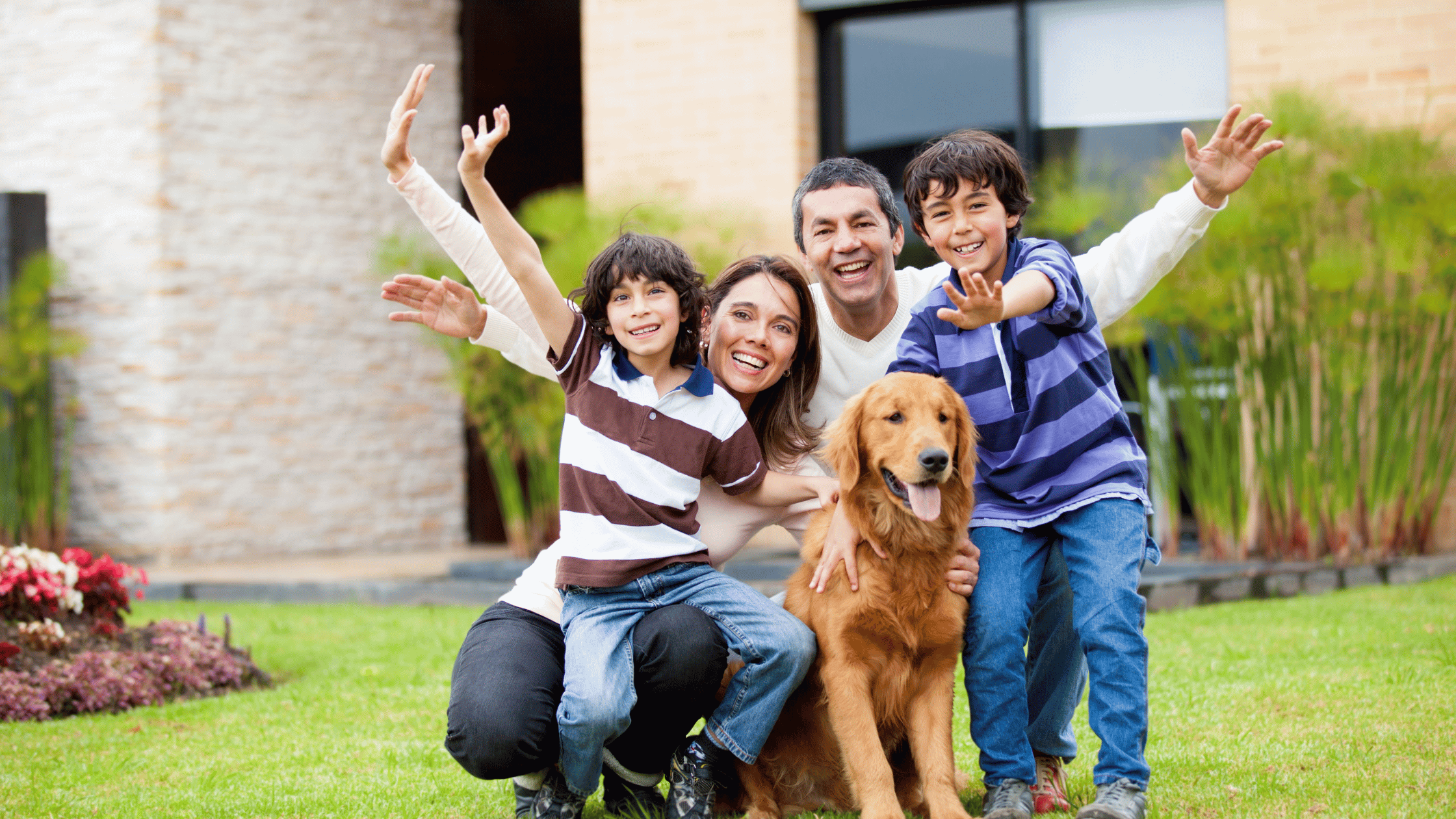 Pets in a Rental Property: What Landlords Should Really Know About Wear, Depreciation and Long-Term Value