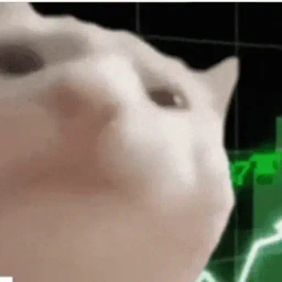 StockCat