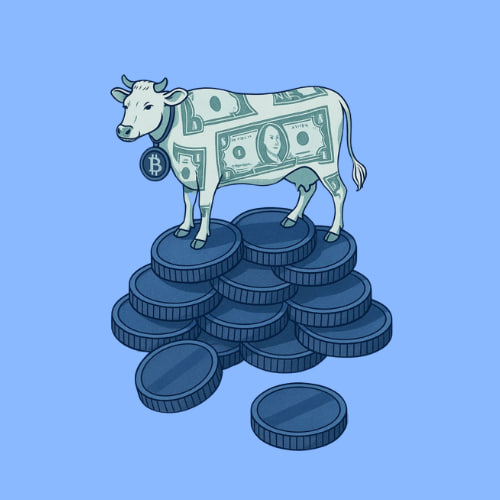 Cashcow