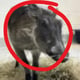 Coin image for 2TpSr2yRiMRRgEwcSBurJVDBWMuyXa4KYYZTvtASpump