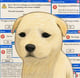 Coin image for 2Z1M2HCTpfnPAFpgtR5TGt678qp1rKhoVQi2YAHwpump