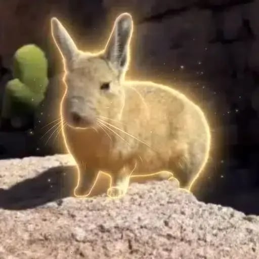 bullshit with fur