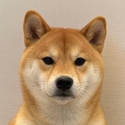 Inu