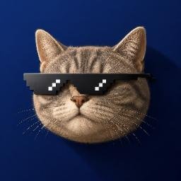 just a cat