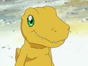 Agumon
