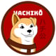 Coin image for 43DHgD8K9ZcxokjUHkoMEuUBYY6VSKN8CFxzxptepump