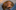 46hGbgT5qSd8JGPXEbXu3KcuPLNJSyLztiHjzyKtpump logo