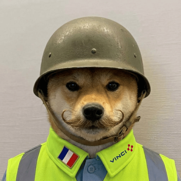 WAR IN FRANCE