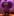 4MyvdhAwhGAEdkswNFC5esEmGjNKiaw4RxkL9WNfpump logo