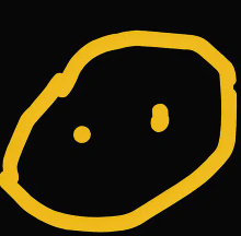 testicle