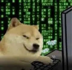 HackINU