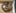 5ZpXdXnACc9mPUbFDgRxHLTGczZWk5dGsw1p4tRapump logo