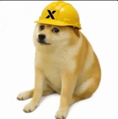 cashdog