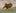 6wCpTaxLmCeBdsazRebYNHtFNC1mPJDWKscHHVwkpump logo