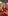 788G1UNoxNBrfukyXbMBtR7u9C55M5rqmtjK85U9pump logo