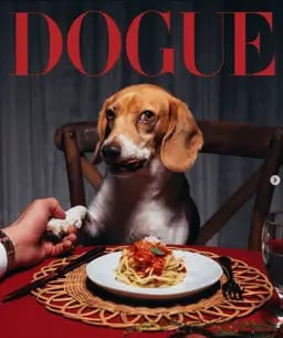 The Dogue