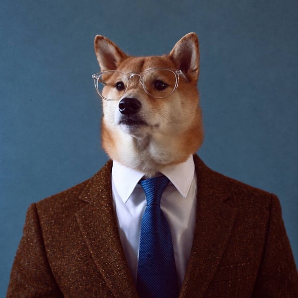 Professor Inu