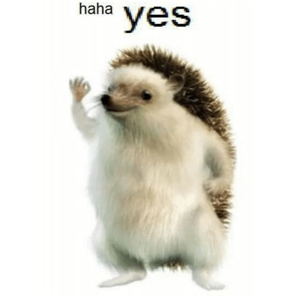 HaHaYes