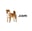 dog.com logo