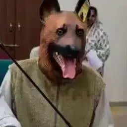 Dog In Protest