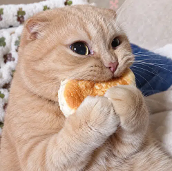 NOM