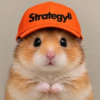 haMSTR